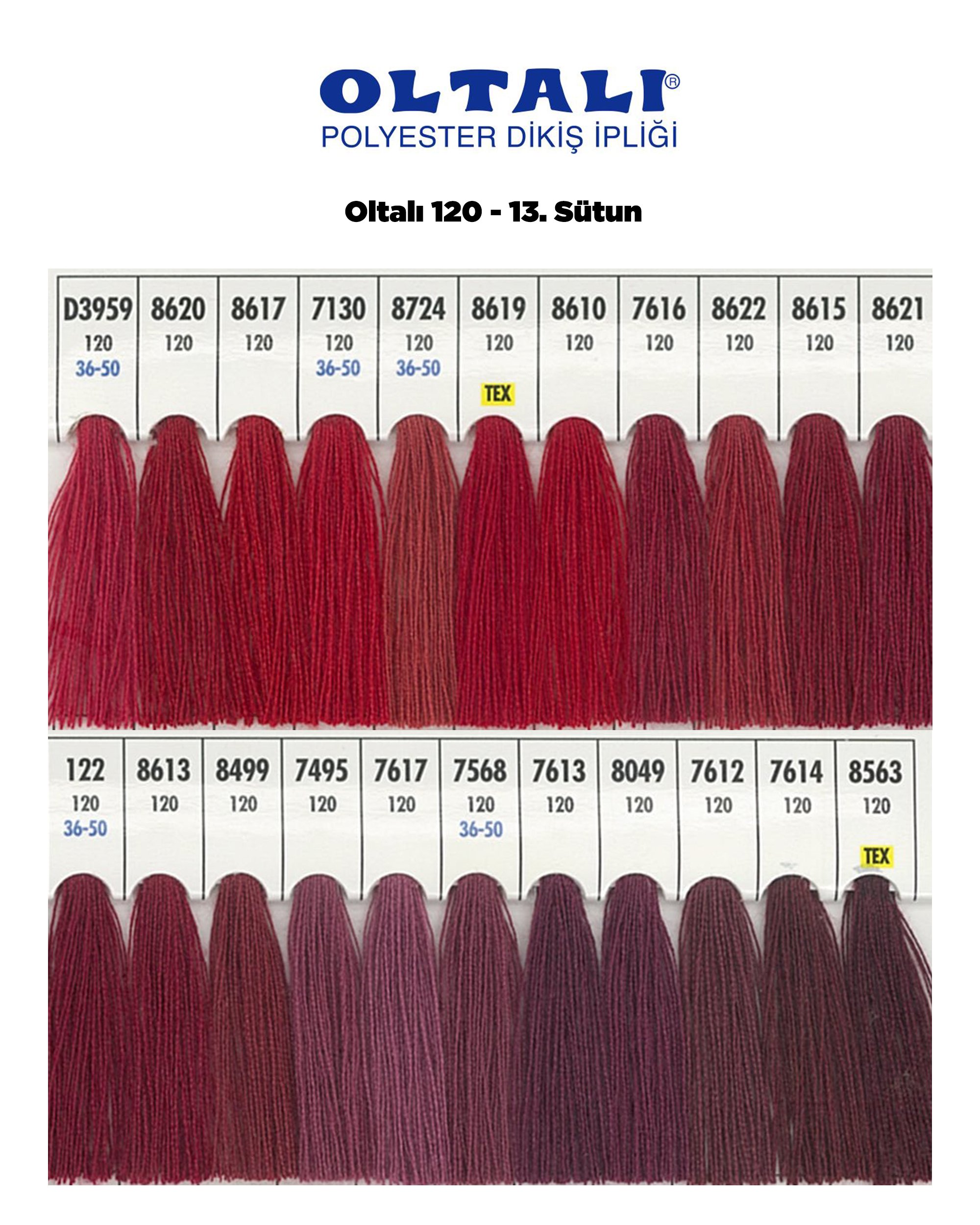 Oltalı 120 –13. Sütun
