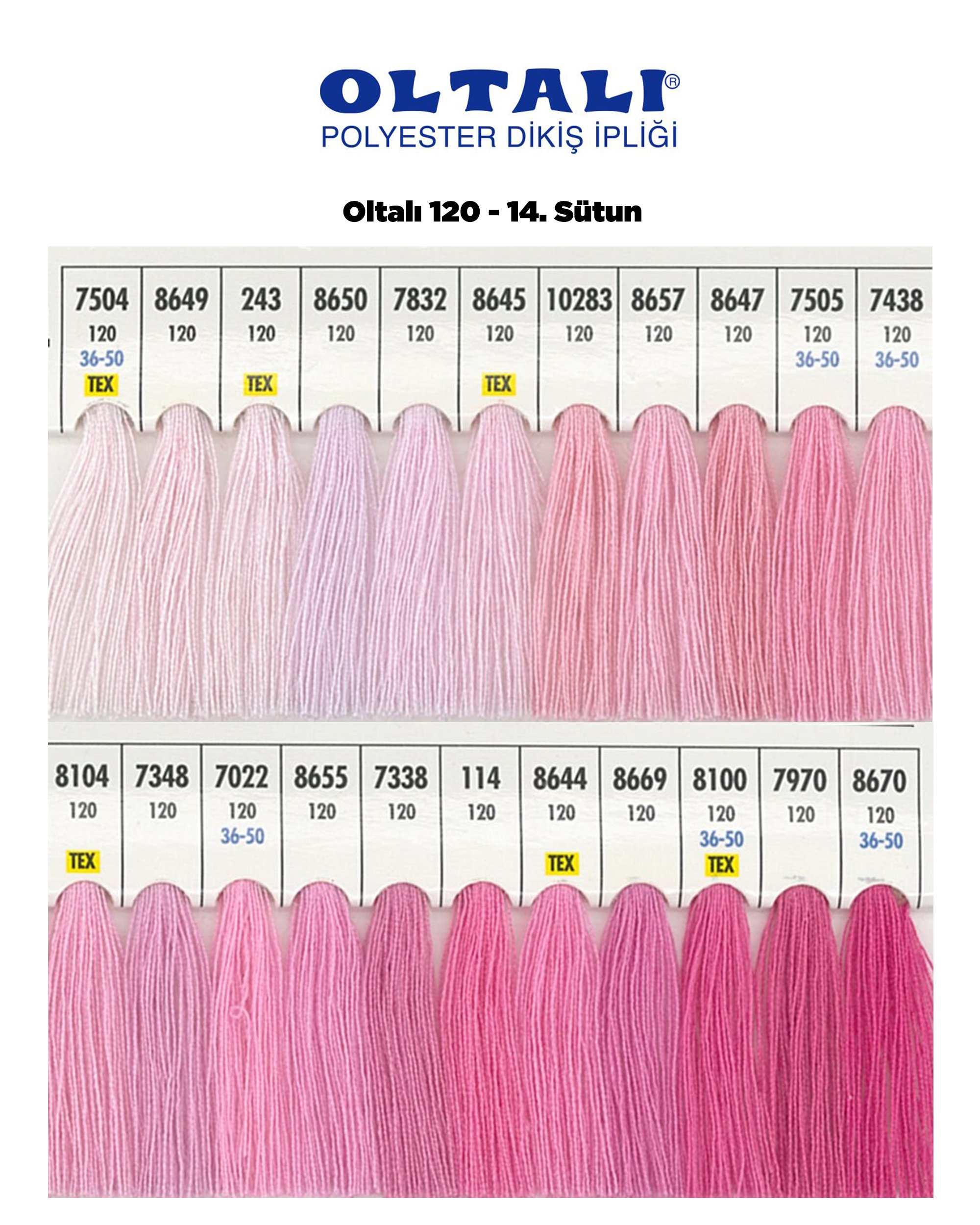 Oltalı 120 –14. Sütun
