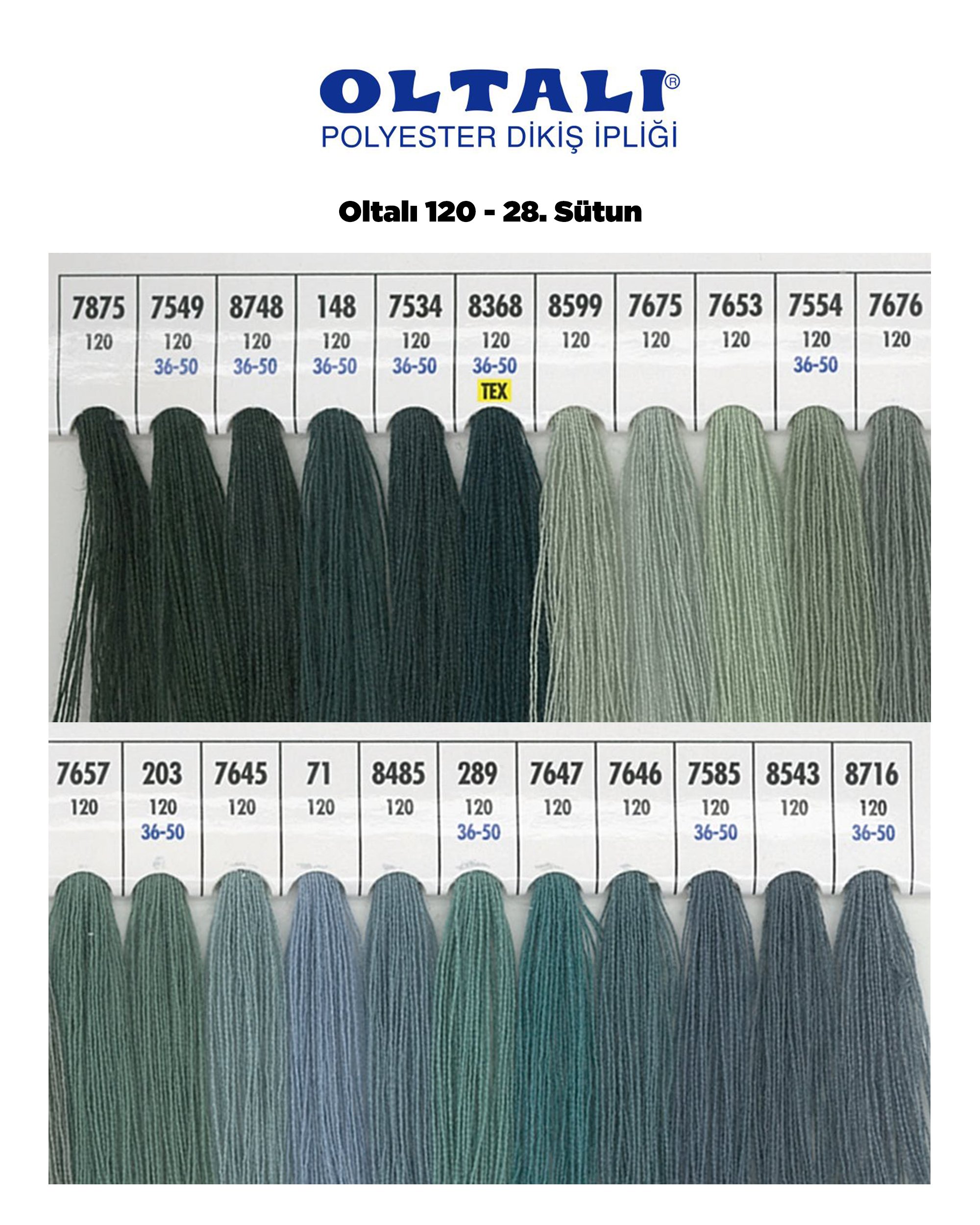 Oltalı 120 –28. Sütun