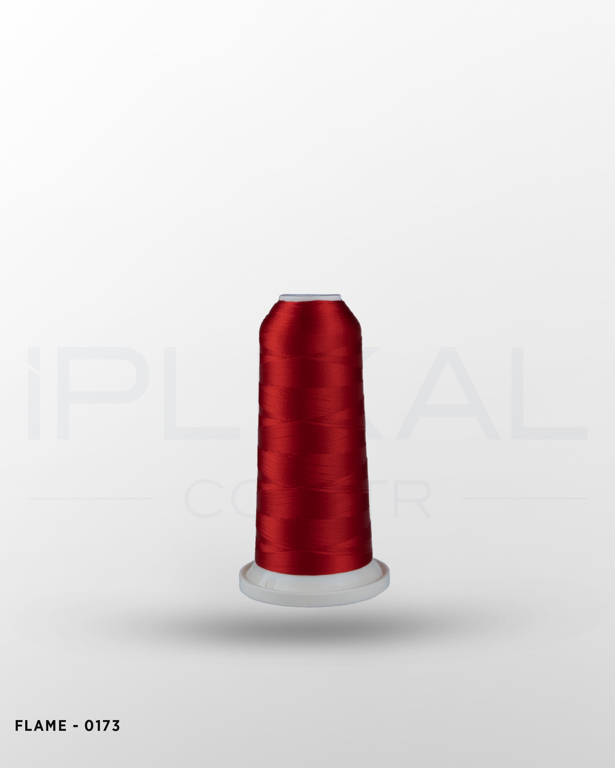 Flame - 0173